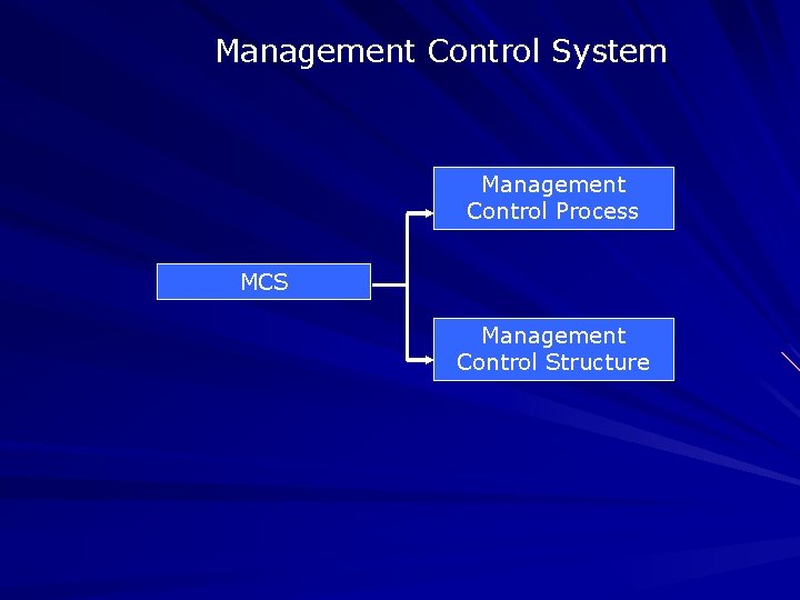 Management Control System Management Control Process MCS Management Control Structure 