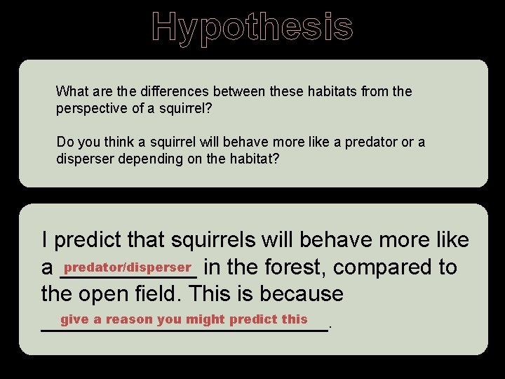 Hypothesis What are the differences between these habitats from the perspective of a squirrel?