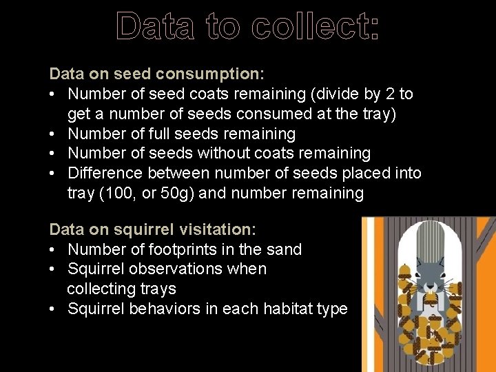 Data to collect: Data on seed consumption: • Number of seed coats remaining (divide