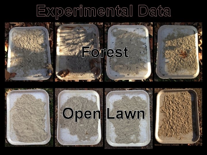 Experimental Data Forest Open Lawn 