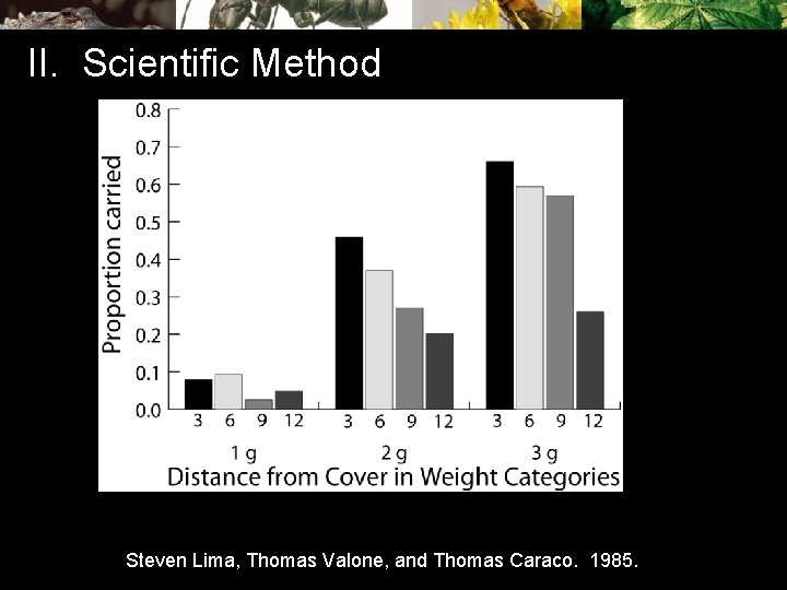 II. Scientific Method Steven Lima, Thomas Valone, and Thomas Caraco. 1985. 