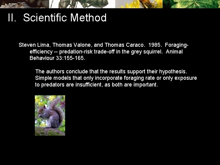 II. Scientific Method Steven Lima, Thomas Valone, and Thomas Caraco. 1985. Foragingefficiency -- predation-risk