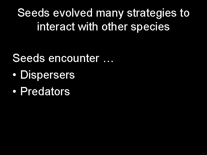 Seeds evolved many strategies to interact with other species Seeds encounter … • Dispersers