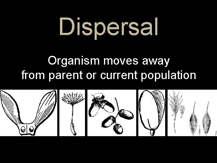 Dispersal Organism moves away from parent or current population 