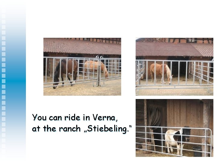 You can ride in Verna, at the ranch „Stiebeling. “ 