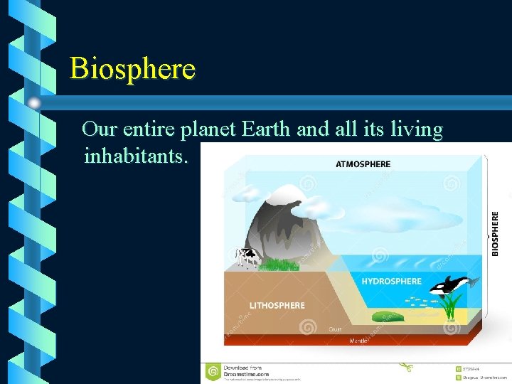 Biosphere Our entire planet Earth and all its living inhabitants. 