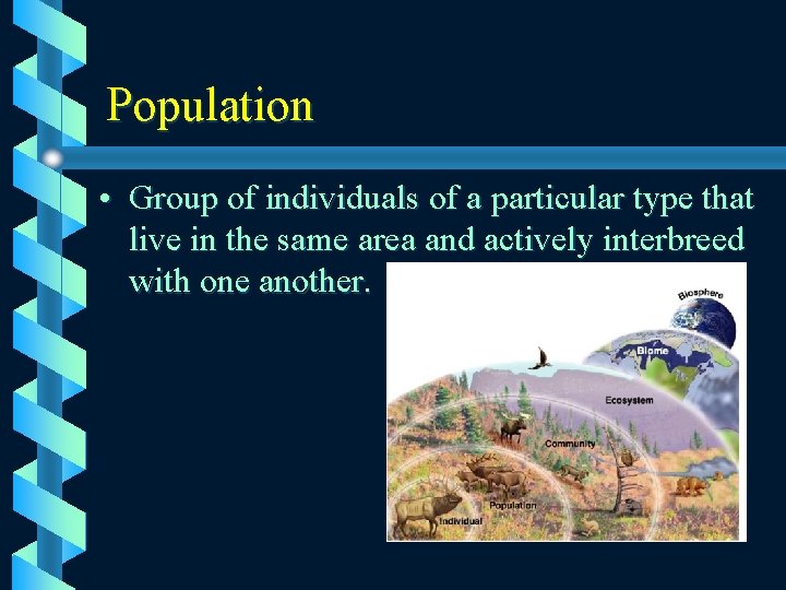 Population • Group of individuals of a particular type that live in the same