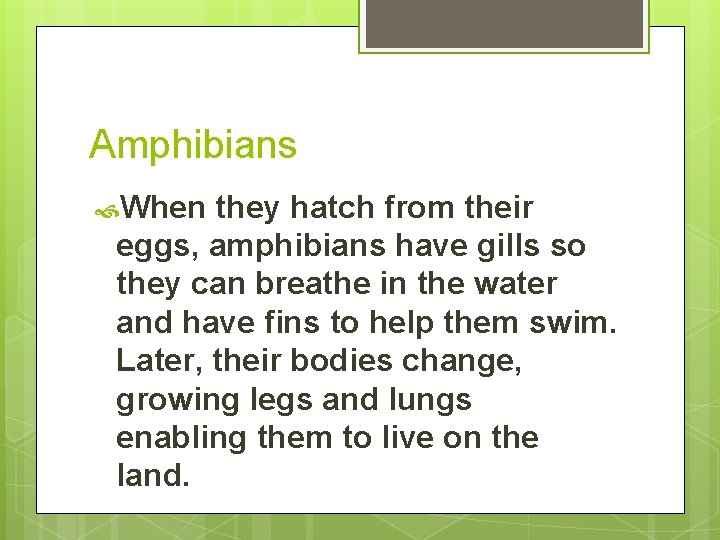 Amphibians When they hatch from their eggs, amphibians have gills so they can breathe