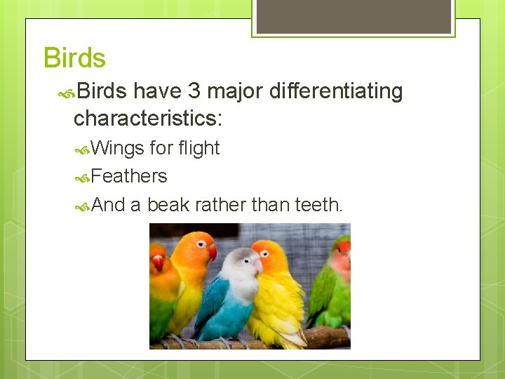 Birds have 3 major differentiating characteristics: Wings for flight Feathers And a beak rather