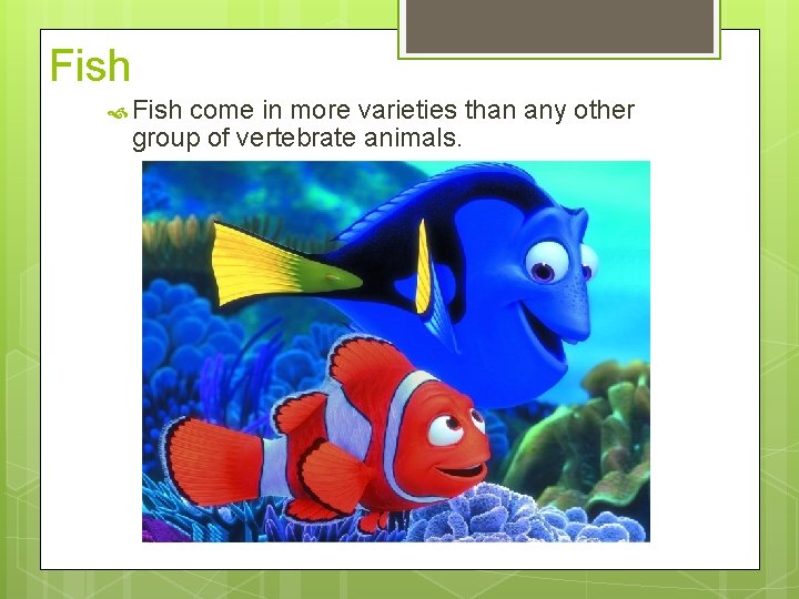 Fish come in more varieties than any other group of vertebrate animals. 