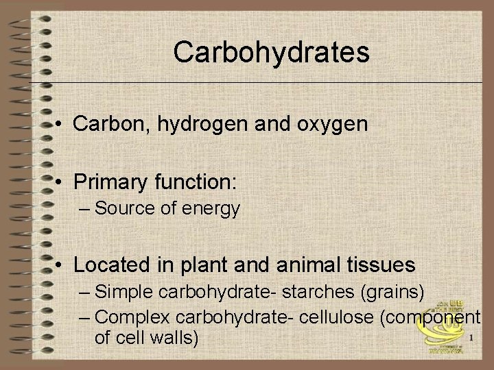 Carbohydrates • Carbon, hydrogen and oxygen • Primary function: – Source of energy •