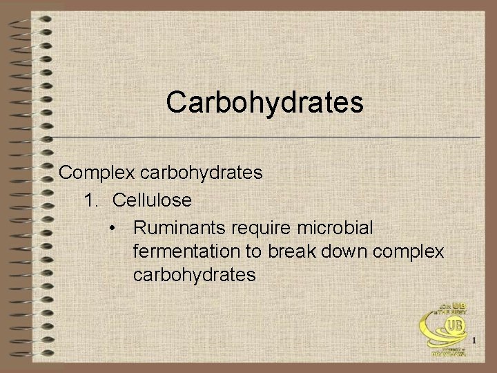 Carbohydrates Complex carbohydrates 1. Cellulose • Ruminants require microbial fermentation to break down complex