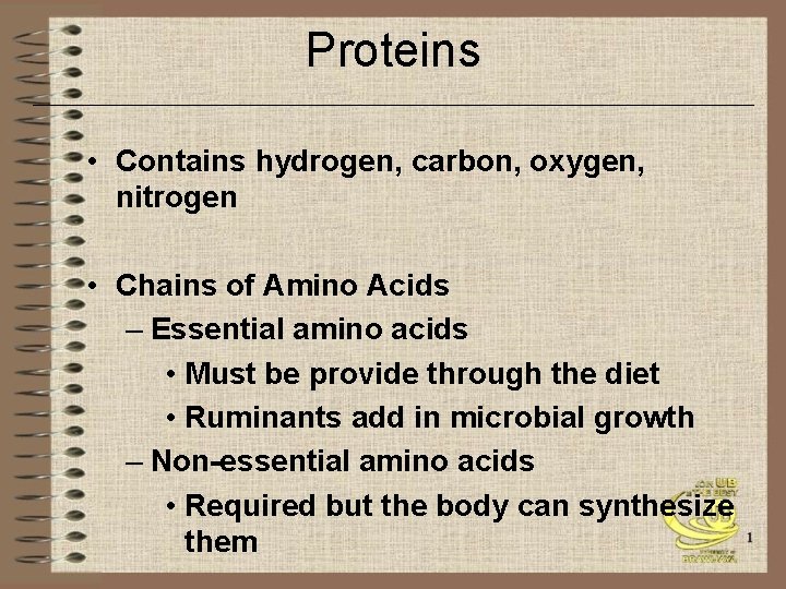 Proteins • Contains hydrogen, carbon, oxygen, nitrogen • Chains of Amino Acids – Essential