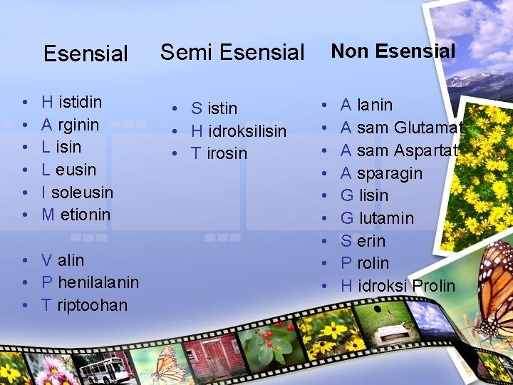 Esensial • • • H istidin A rginin L isin L eusin I soleusin