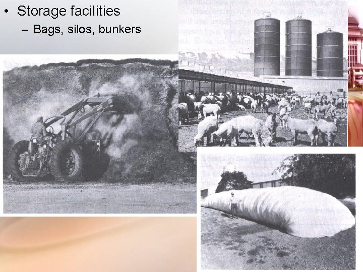  • Storage facilities – Bags, silos, bunkers 