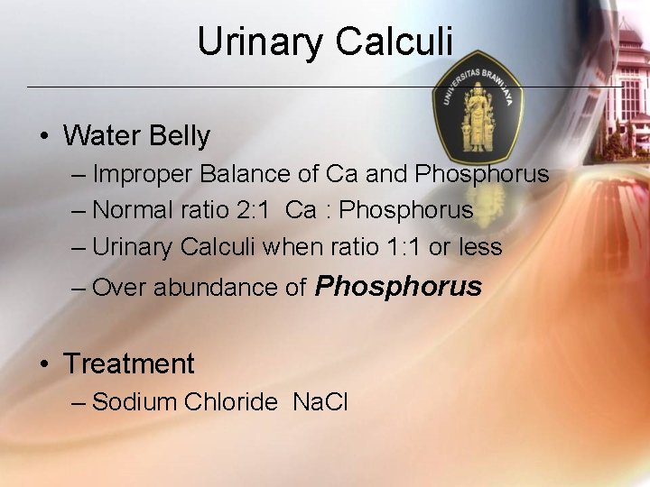 Urinary Calculi • Water Belly – Improper Balance of Ca and Phosphorus – Normal