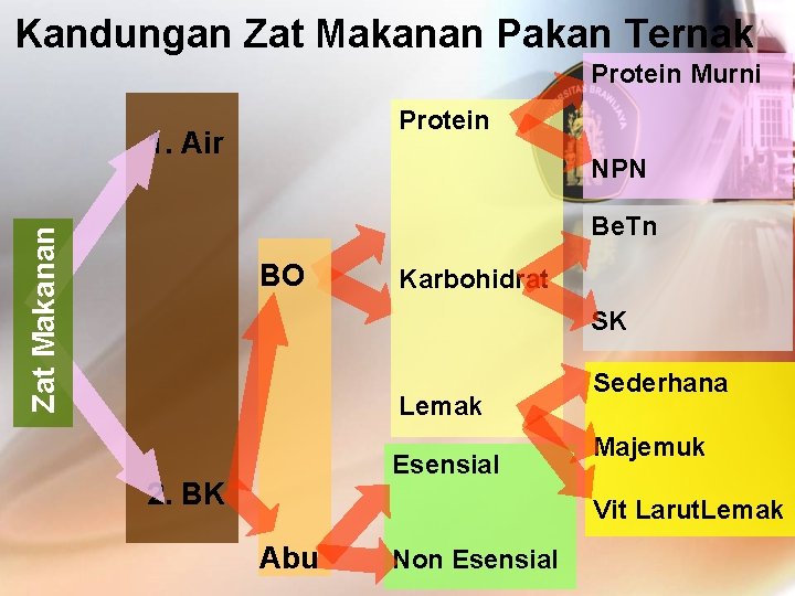 Kandungan Zat Makanan Pakan Ternak Protein Murni Protein 1. Air NPN Zat Makanan Be.