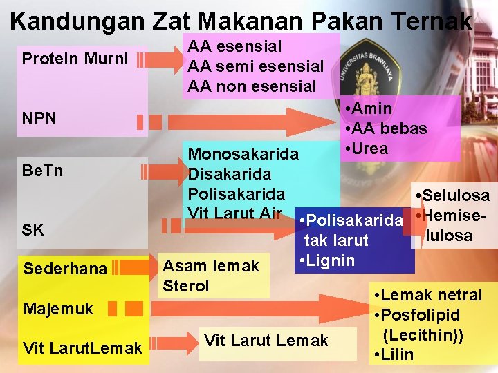 Kandungan Zat Makanan Pakan Ternak Protein Murni AA esensial AA semi esensial AA non
