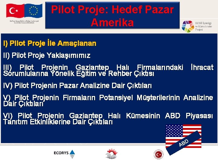 Pilot Proje: Hedef Pazar Amerika I) Pilot Proje İle Amaçlanan II) Pilot Proje Yaklaşımımız