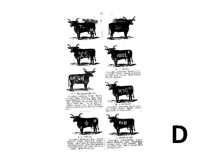 Texas Ranching Cattle Branding Learning Center Activity Post