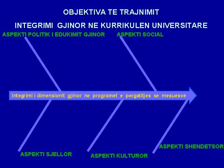 OBJEKTIVA TE TRAJNIMIT INTEGRIMI GJINOR NE KURRIKULEN UNIVERSITARE ASPEKTI POLITIK I EDUKIMIT GJINOR ASPEKTI