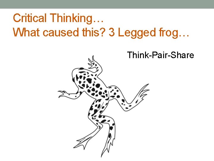 Critical Thinking… What caused this? 3 Legged frog… Think-Pair-Share 