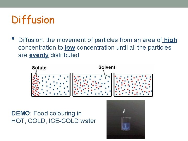 Diffusion • Diffusion: the movement of particles from an area of high concentration to