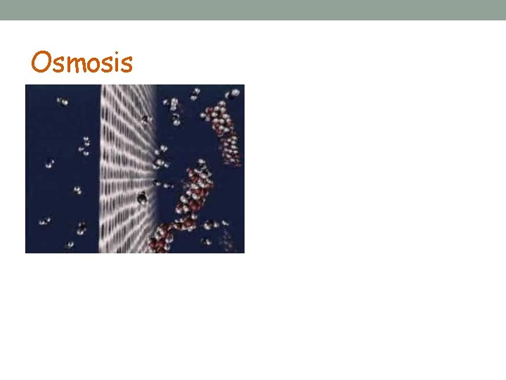 Osmosis 
