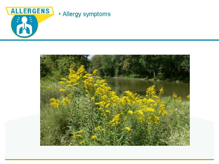  • Allergy symptoms 