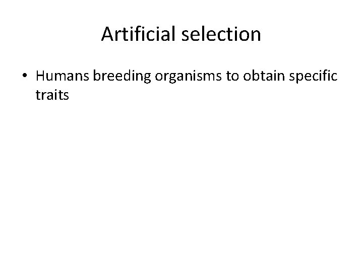 Artificial selection • Humans breeding organisms to obtain specific traits 