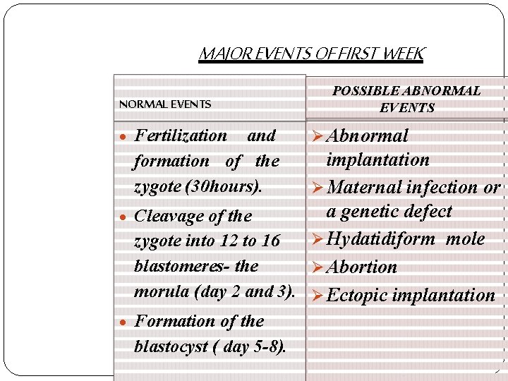 MAJOR EVENTS OF FIRST WEEK NORMAL EVENTS Fertilization and formation of the zygote (30