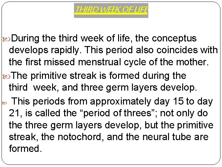 THIRD WEEK OF LIFE During the third week of life, the conceptus develops rapidly.