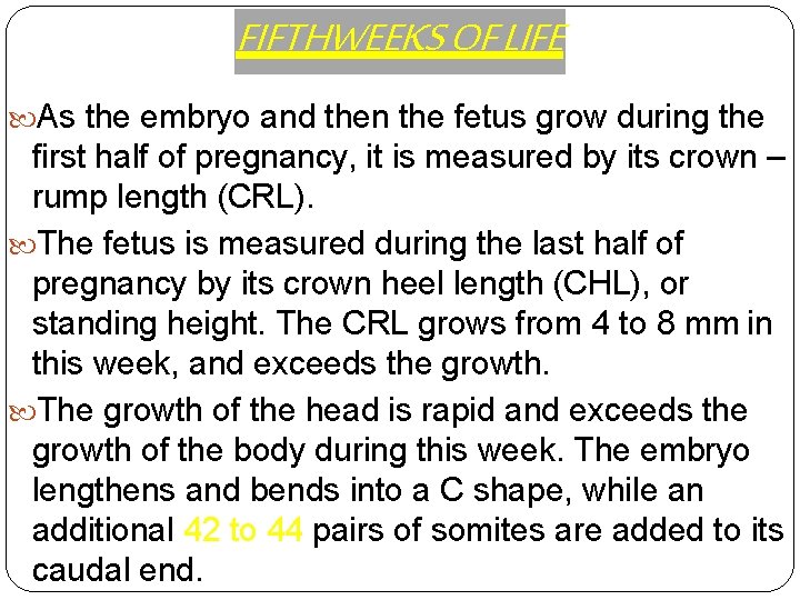 FIFTHWEEKS OF LIFE As the embryo and then the fetus grow during the first
