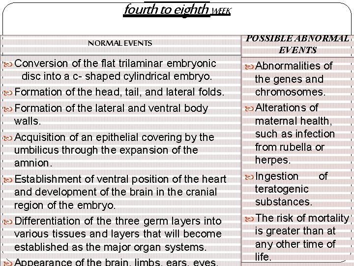 fourth to eighth WEEK NORMAL EVENTS Conversion of the flat trilaminar embryonic disc into