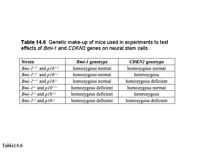 Table 14. 6 Genetic make-up of mice used in experiments to test effects of