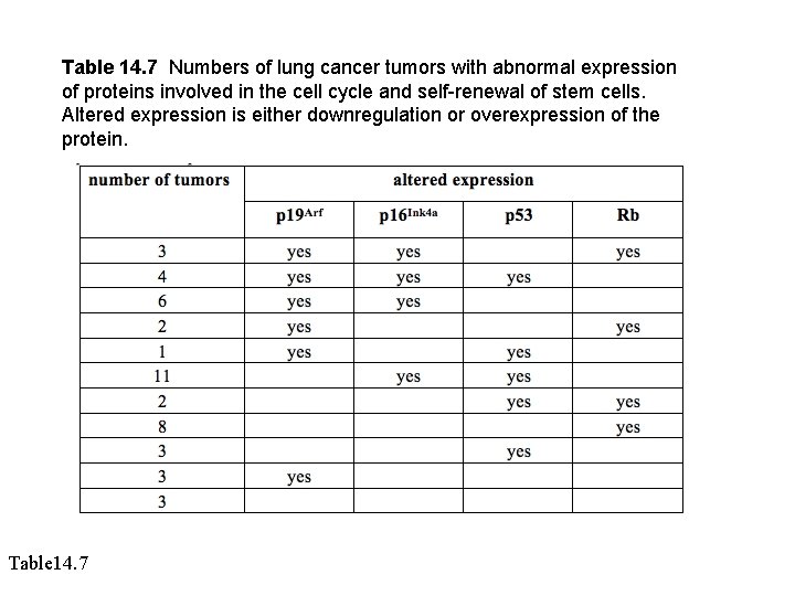 Table 14. 7 Numbers of lung cancer tumors with abnormal expression of proteins involved