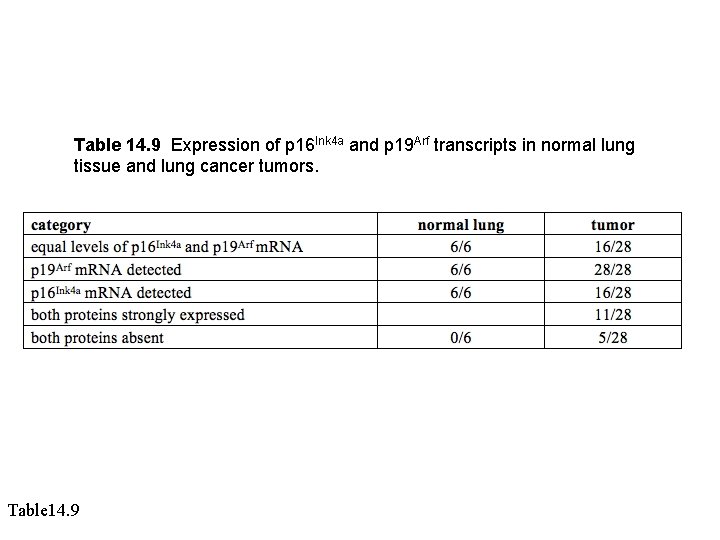 Table 14. 9 Expression of p 16 Ink 4 a and p 19 Arf