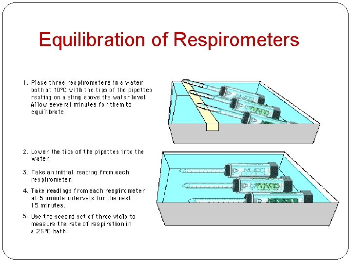 Equilibration of Respirometers 