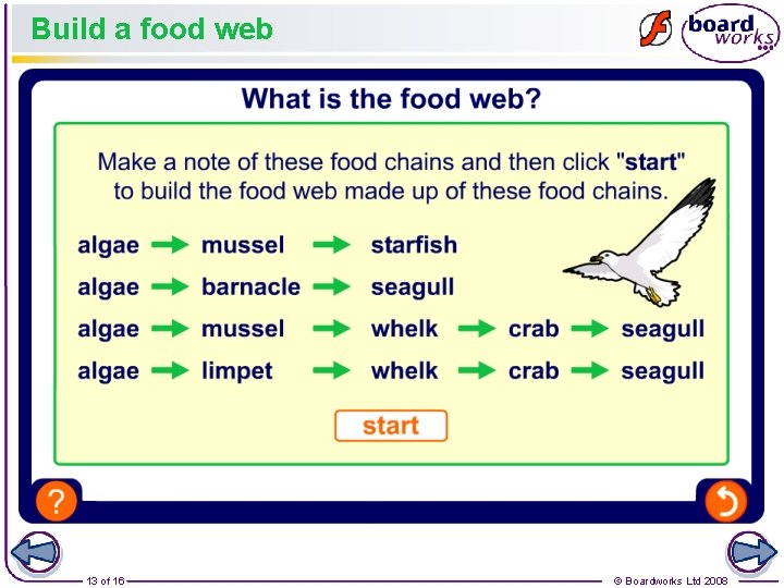 Build a food web 13 of 16 © Boardworks Ltd 2008 