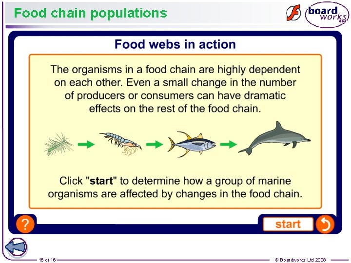 Food chain populations 16 of 16 © Boardworks Ltd 2008 