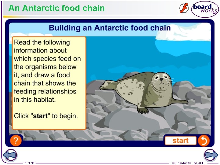 An Antarctic food chain 5 of 16 © Boardworks Ltd 2008 