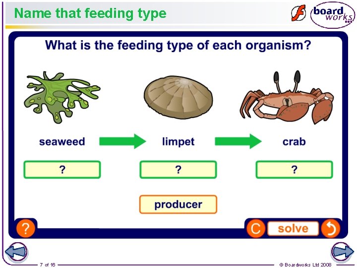 Name that feeding type 7 of 16 © Boardworks Ltd 2008 