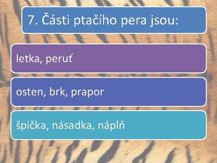 7. Části ptačího pera jsou: letka, peruť osten, brk, prapor špička, násadka, náplň 