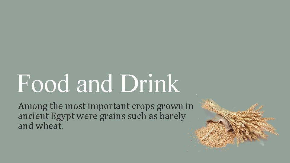 Food and Drink Among the most important crops grown in ancient Egypt were grains