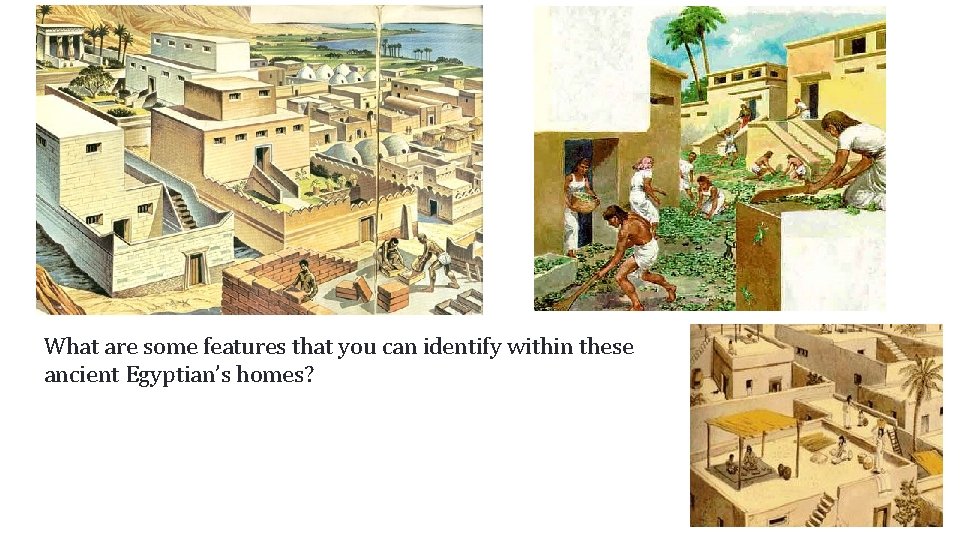 What are some features that you can identify within these ancient Egyptian’s homes? 