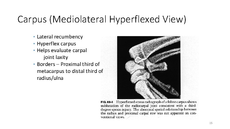 Carpus (Mediolateral Hyperflexed View) • Lateral recumbency • Hyperflex carpus • Helps evaluate carpal