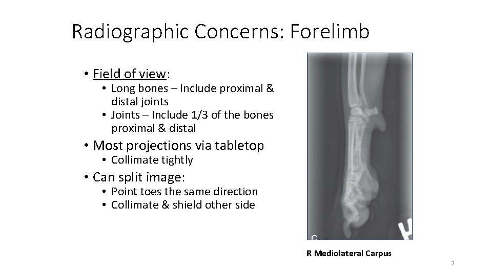 Radiographic Concerns: Forelimb • Field of view: • Long bones – Include proximal &