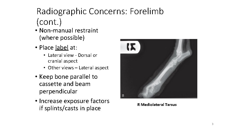 Radiographic Concerns: Forelimb (cont. ) • Non-manual restraint (where possible) • Place label at: