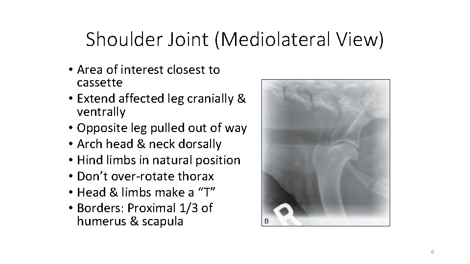 Shoulder Joint (Mediolateral View) • Area of interest closest to cassette • Extend affected