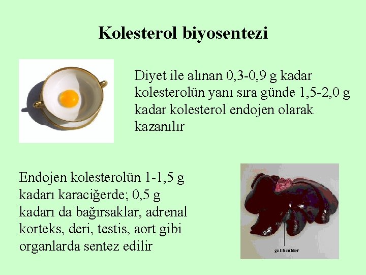 Kolesterol biyosentezi Diyet ile alınan 0, 3 -0, 9 g kadar kolesterolün yanı sıra